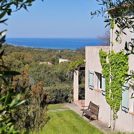 Domaine Punta Della Guardia Villa Vue Mer Dans Nature Protegee, Plage A 1,5 Km Cervione Exterior foto